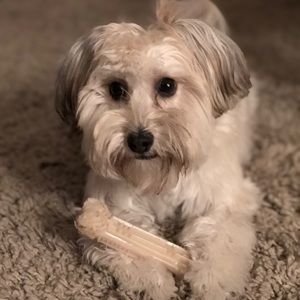 Meet your Posher, Leigh